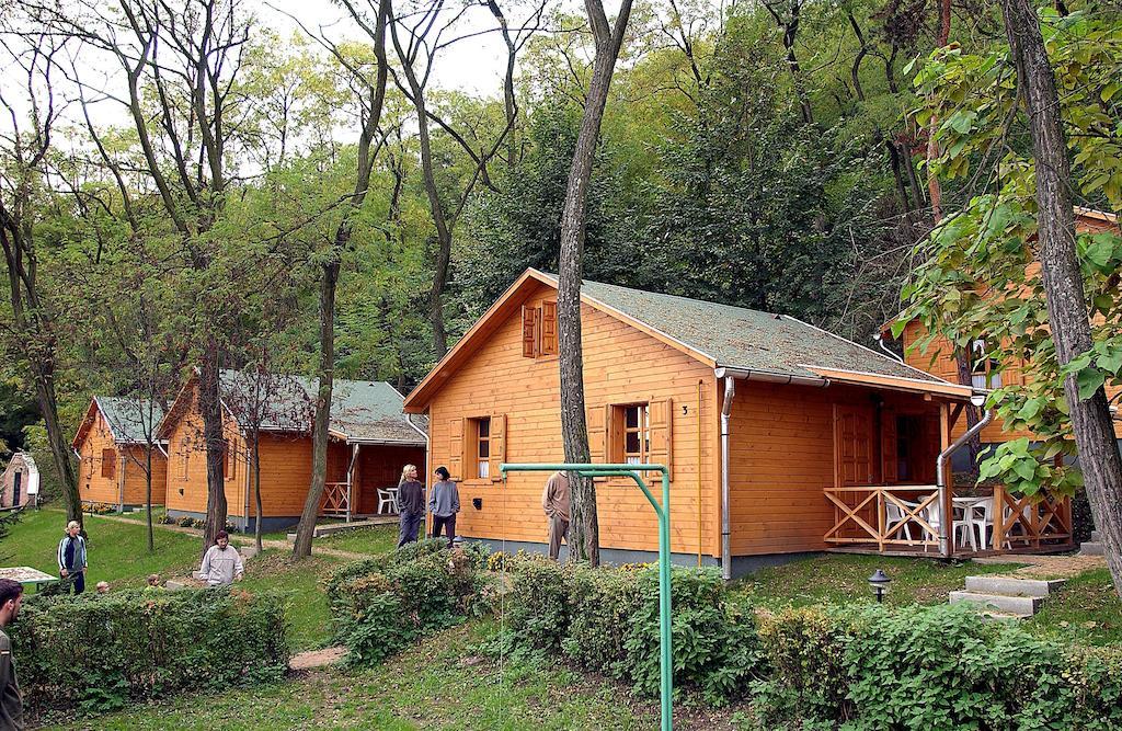 Zoeldvar Villa Богач Номер фото